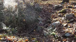DSCF1379.webp