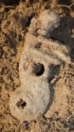 DSCF1386.webp