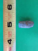 athabasca river finds sept. 2014 007.webp