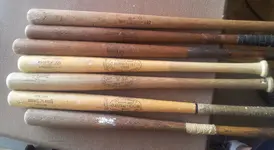 bats.webp