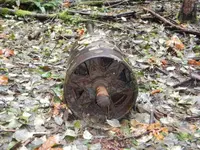 DSCN0631.webp