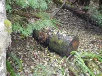 DSCN0638.webp