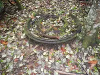 DSCN0640.webp