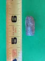 athabasca river finds sept. 2014 008.webp