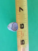 athabasca river finds sept. 2014 009.webp
