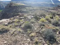 025.webp