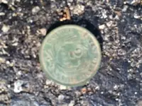 coin2.webp