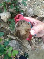 image-4108300012.webp