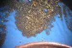 03gif.webp