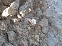 100_2927.webp