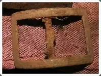 buckle.webp
