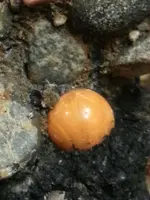 marble2.webp