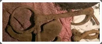 horse bit.webp