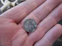 park finds 11-8-14 013.webp