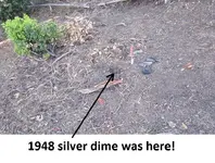 park finds 11-8-14 014.webp
