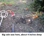park finds 11-8-14 018.webp