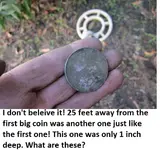 park finds 11-8-14 019.webp