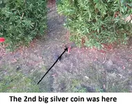park finds 11-8-14 021.webp