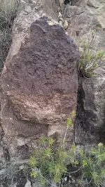 IMAG1013.webp