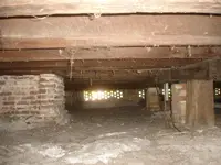 DSC09640.webp