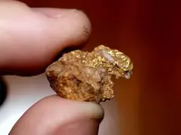 specigold.webp