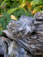 skarn rock.webp