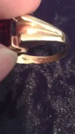 IMAG2976.webp IMAG2976.webp