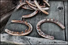 Old Horseshoes 2.webp