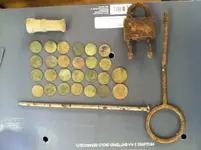 Back yard finds 2014.webp