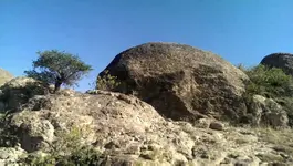 VIDEO0146_٠٠٠٠٠٠٧٥٠٠.webp
