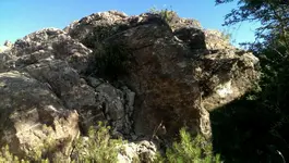 VIDEO0146_٠٠٠٠٠٣٠٨٦٨.webp
