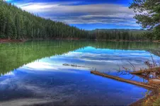 002od.webp