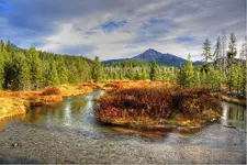 0044_44.webp