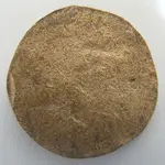 coin2.webp