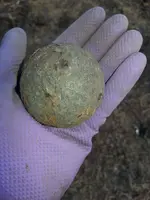 mycannonball.webp