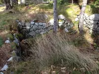 image-3415108005.webp