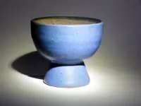 DSCN6540.webp