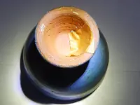 DSCN6543.webp