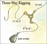 bell sinker.webp