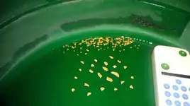 00E0E_kWYoE8OkrpZ_600x450.webp