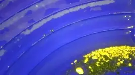 00Q0Q_cyvwPeMZsP5_600x450.webp
