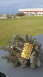Weekend Gold 10.24-26.webp