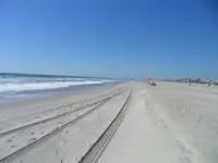 surf fishing 004.webp