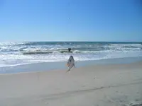 surf fishing 003.webp