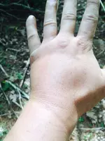 image-3286922528.webp