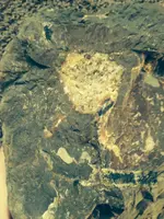 rock4.webp