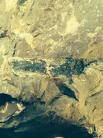 rock5.webp