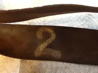 Buckle 1.webp