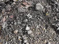 DSCF3232.webp
