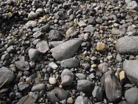 DSCF3233.webp